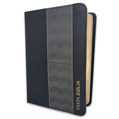 BIBLIA RVR60 045C LETRA GRANDE