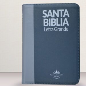 BIBLIA LETRA GRANDE REINA VALERA GRIS