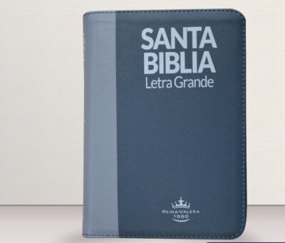 BIBLIA LETRA GRANDE REINA VALERA GRIS