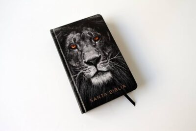 BIBLIA LEON TD