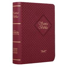BIBLIA RVC 025