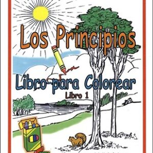 LIBRO PARA COLOREAR BIBLICO