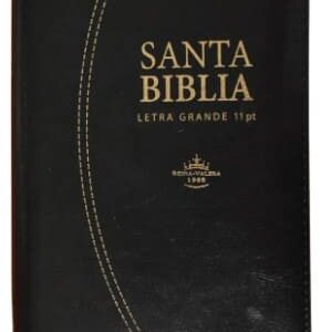 BIBLIA RVR 046 NEGRA LETRA GRANDE