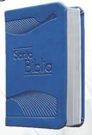 MINI BIBLIAS AZUL SIN CIERRE