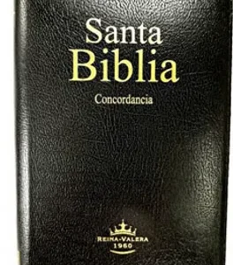 BIBLIA PELUCONA CON FORRO