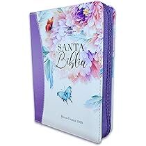 BIBLIA RVR 025 JARDIN LILA ABBA