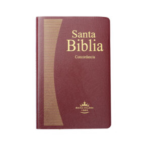 BIBLIA PELUCONA VINO