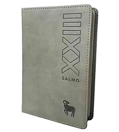 BIBLIA NTV EDICION SALMOS