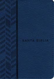BIBLIA NTV AZUL