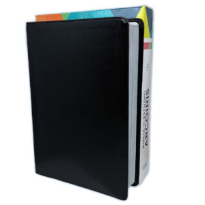 BIBLIA ARCOIRIS PIEL