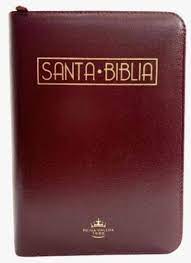 BIBLIA RVR025 VINO TINTO CANTO DORADO
