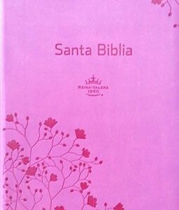 BIBLIAN RVR26 LETRA GRANDE SIN FORRO NEGRA LETRA GRANDE