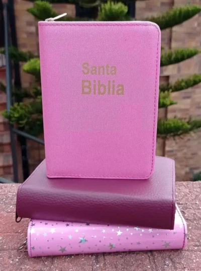 BIBLIAS RVR 020 LG