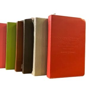 BIBLIAS ECONOMICAS LETRA GRANDE