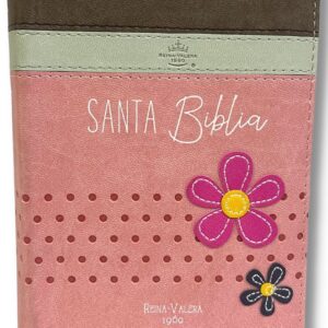 BIBLIA RVR025