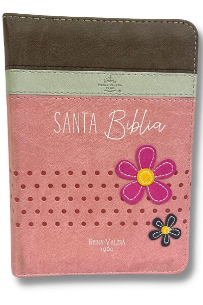 BIBLIA RVR025