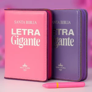 BIBLIA RVR 080 ETRA GIGANTE ROSA Y MORADA