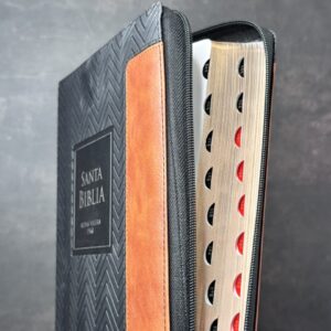 BIBLIA LETRA GIGANTE 19 PUNTOS