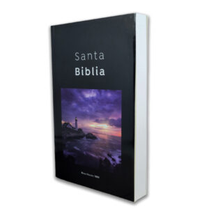 BIBLIA ECONOMICA NEGRO FARO