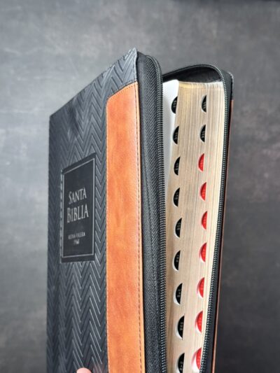 BIBLIA LETRA GIGANTE 19 PUNTOS